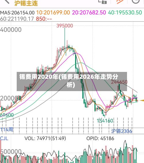 锡费用2020年(锡费用2026年走势分析)-第2张图片
