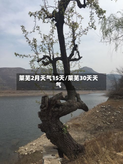 莱芜2月天气15天/莱芜30天天气-第3张图片