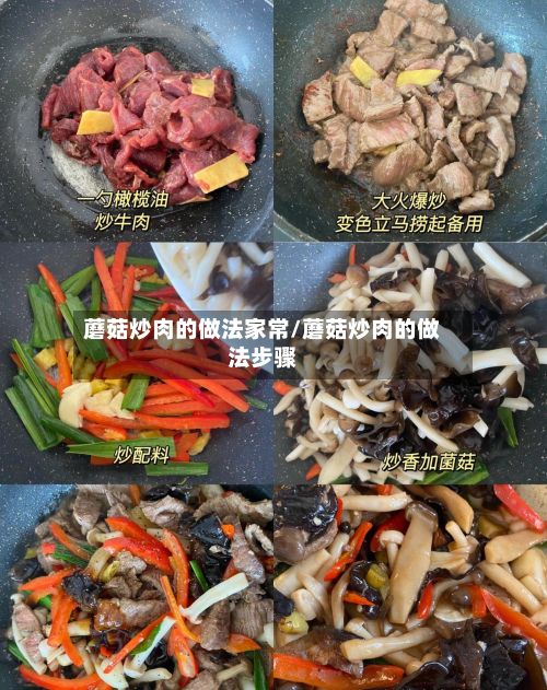 蘑菇炒肉的做法家常/蘑菇炒肉的做法步骤-第2张图片