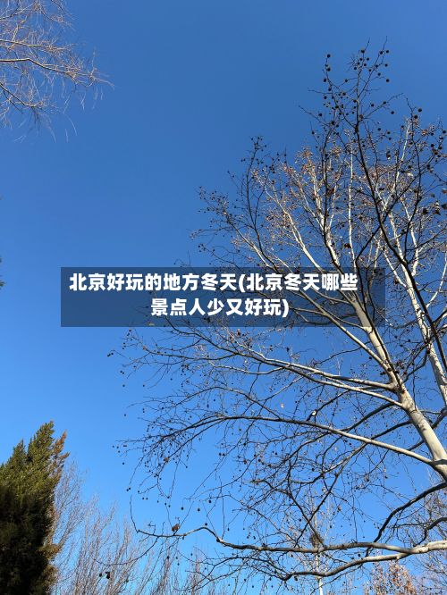 北京好玩的地方冬天(北京冬天哪些景点人少又好玩)-第3张图片