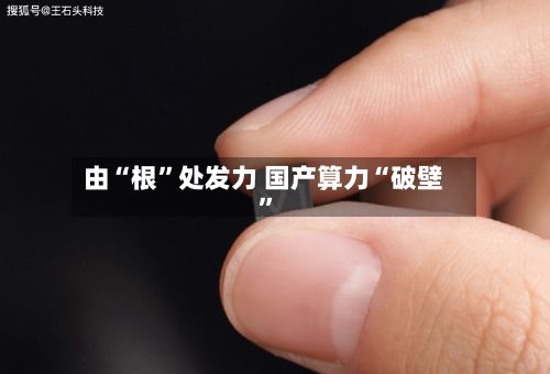 由“根	”处发力 国产算力“破壁”-第1张图片
