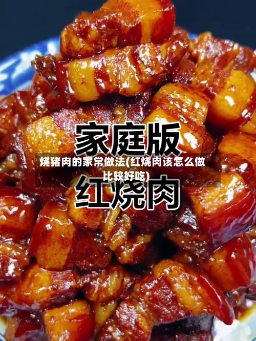 烧猪肉的家常做法(红烧肉该怎么做比较好吃)