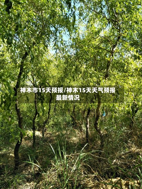 神木市15天预报/神木15天天气预报最新情况-第2张图片