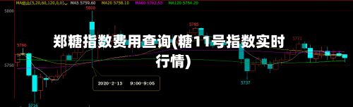 郑糖指数费用查询(糖11号指数实时行情)