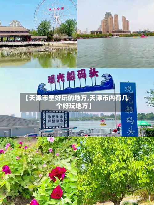 【天津市里好玩的地方,天津市内有几个好玩地方】