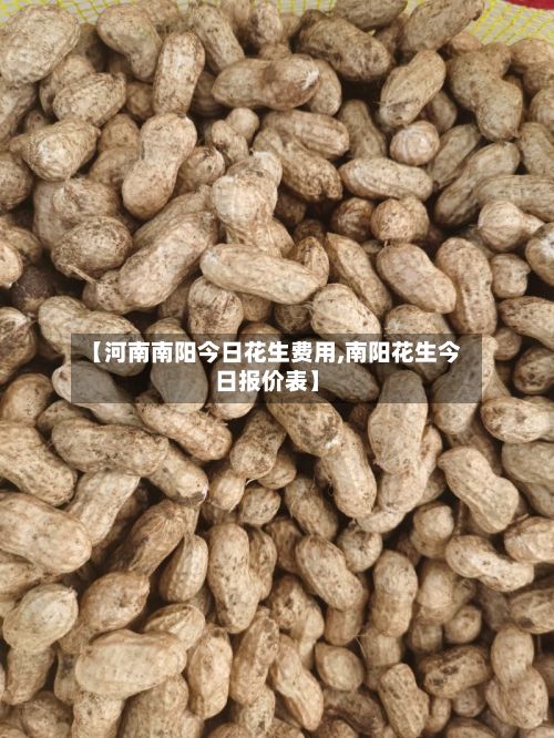 【河南南阳今日花生费用,南阳花生今日报价表】-第2张图片