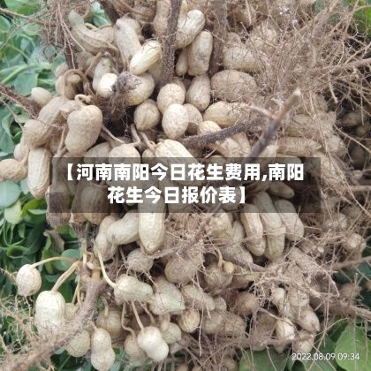 【河南南阳今日花生费用,南阳花生今日报价表】