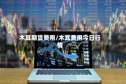 木耳期货费用/木耳费用今日行情