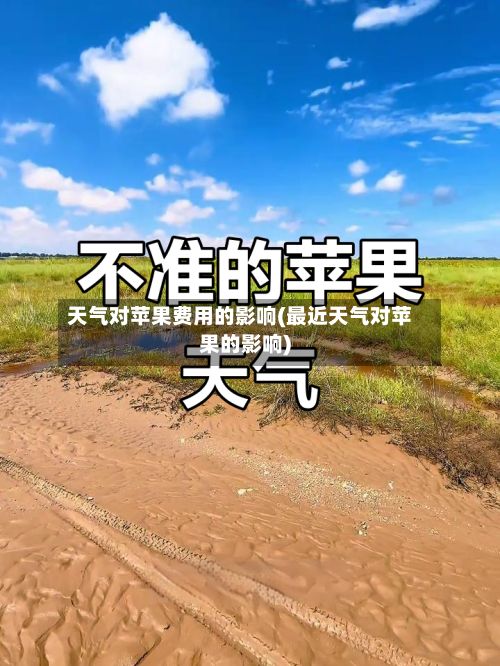 天气对苹果费用的影响(最近天气对苹果的影响)