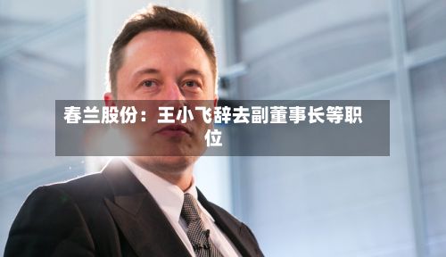 春兰股份：王小飞辞去副董事长等职位-第1张图片