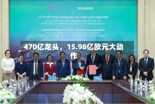 470亿龙头	，15.98亿欧元大动作-第2张图片
