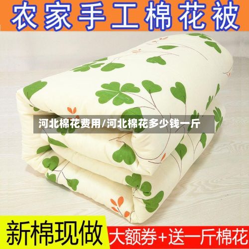 河北棉花费用/河北棉花多少钱一斤