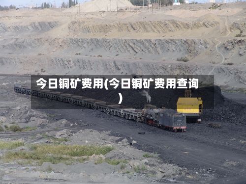 今日铜矿费用(今日铜矿费用查询)