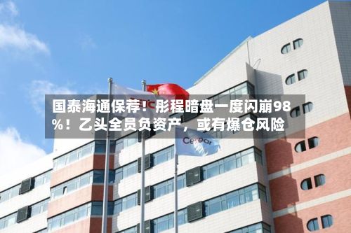 国泰海通保荐！彤程暗盘一度闪崩98%！乙头全员负资产	，或有爆仓风险-第2张图片