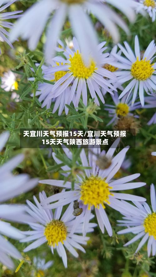 天宜川天气预报15天/宜川天气预报15天天气陕西旅游景点