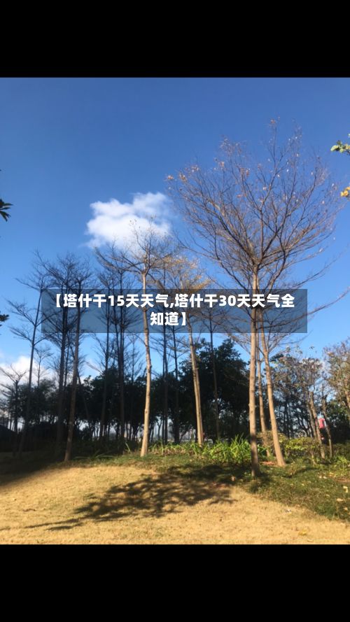 【塔什干15天天气,塔什干30天天气全知道】