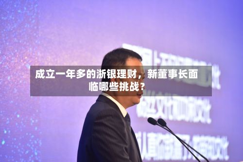 成立一年多的浙银理财	，新董事长面临哪些挑战？-第2张图片