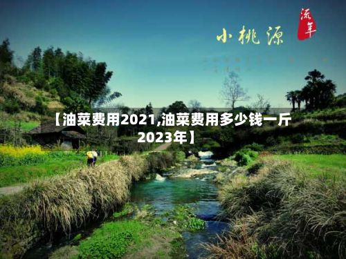 【油菜费用2021,油菜费用多少钱一斤2023年】