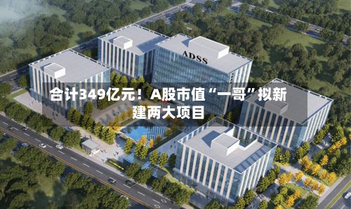 合计349亿元！A股市值“一哥”拟新建两大项目-第1张图片