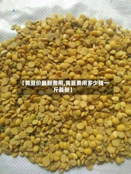 【黄豆价最新费用,黄豆费用多少钱一斤最新】-第2张图片