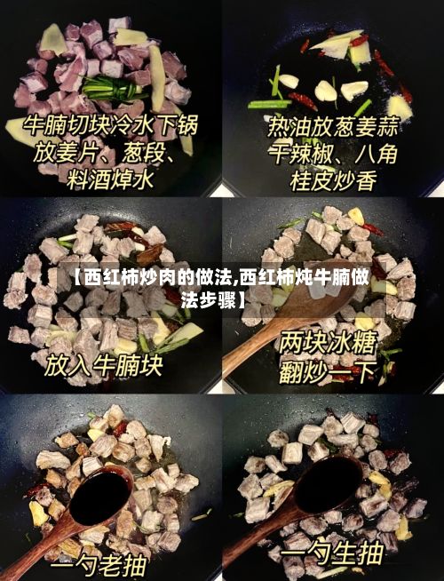 【西红柿炒肉的做法,西红柿炖牛腩做法步骤】