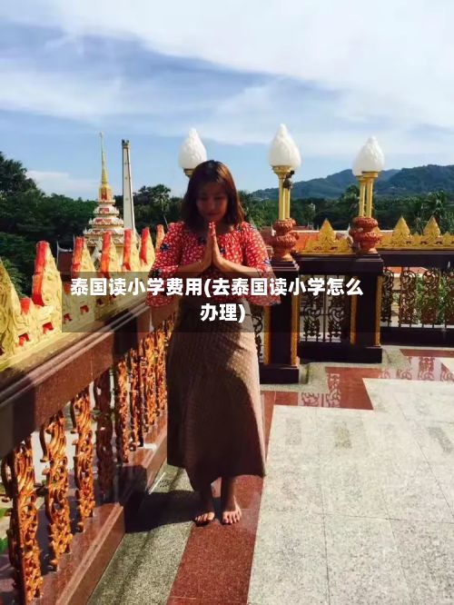 泰国读小学费用(去泰国读小学怎么办理)
