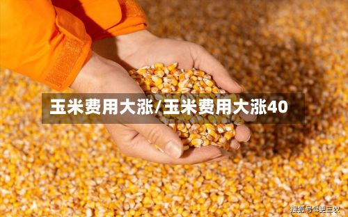 玉米费用大涨/玉米费用大涨40