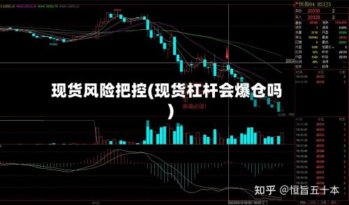 现货风险把控(现货杠杆会爆仓吗)-第2张图片