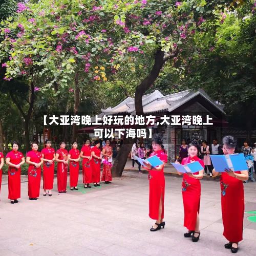 【大亚湾晚上好玩的地方,大亚湾晚上可以下海吗】-第2张图片