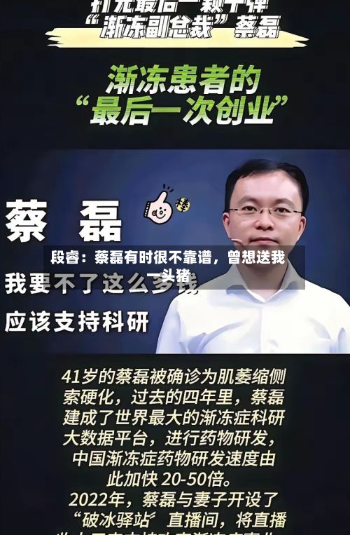 段睿：蔡磊有时很不靠谱，曾想送我一头猪-第2张图片