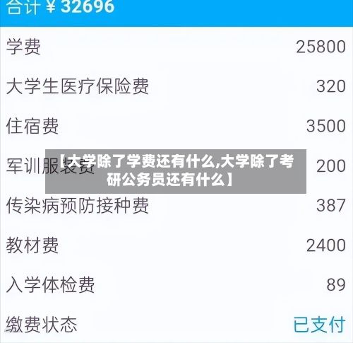 【大学除了学费还有什么,大学除了考研公务员还有什么】-第3张图片