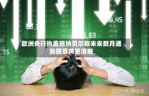 欧洲央行执委施纳贝尔称未来数月通胀图景将更清晰