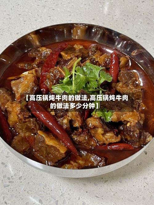 【高压锅炖牛肉的做法,高压锅炖牛肉的做法多少分钟】