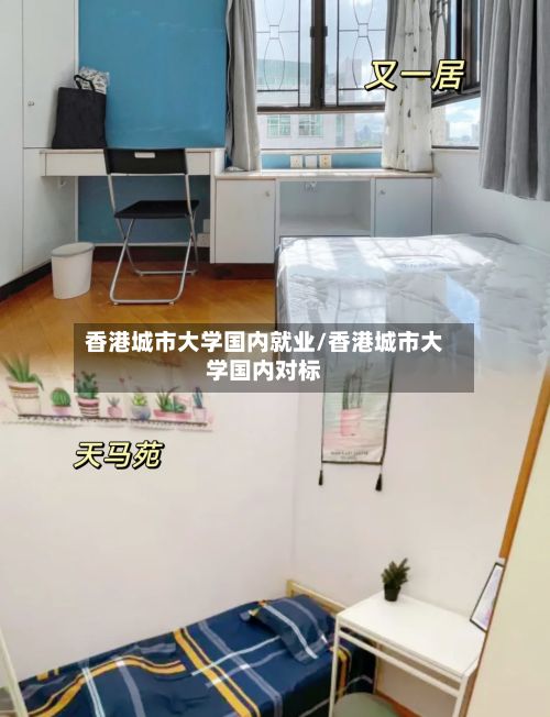 香港城市大学国内就业/香港城市大学国内对标