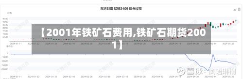 【2001年铁矿石费用,铁矿石期货2001】-第3张图片