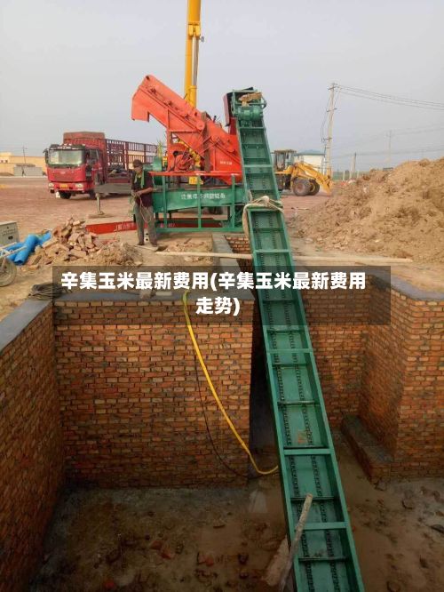 辛集玉米最新费用(辛集玉米最新费用走势)-第3张图片