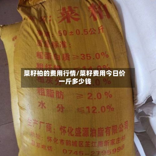 菜籽柏的费用行情/菜籽费用今日价一斤多少钱-第2张图片