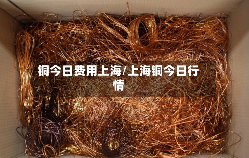 铜今日费用上海/上海铜今日行情-第2张图片