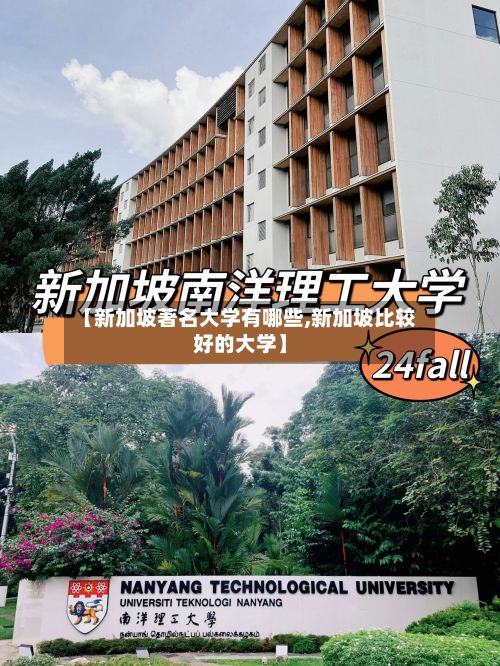 【新加坡著名大学有哪些,新加坡比较好的大学】-第2张图片