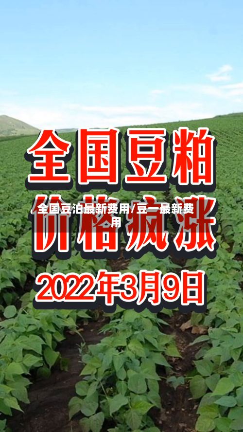 全国豆泊最新费用/豆一最新费用