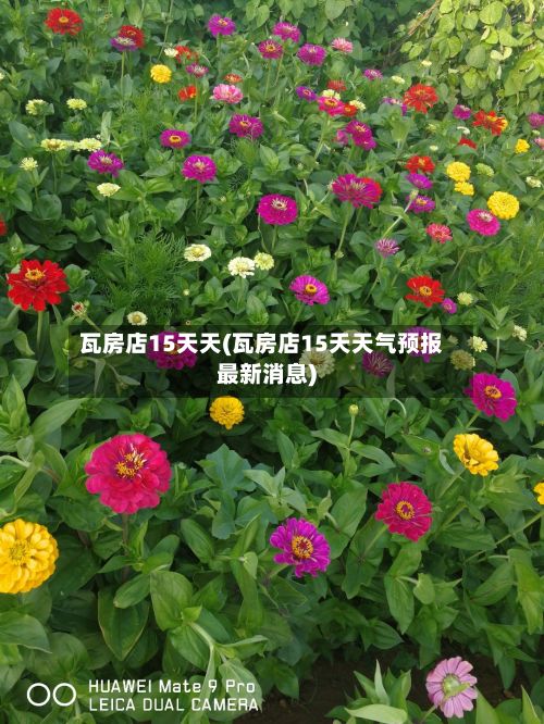 瓦房店15天天(瓦房店15天天气预报最新消息)-第3张图片