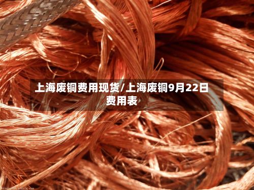 上海废铜费用现货/上海废铜9月22日费用表-第2张图片
