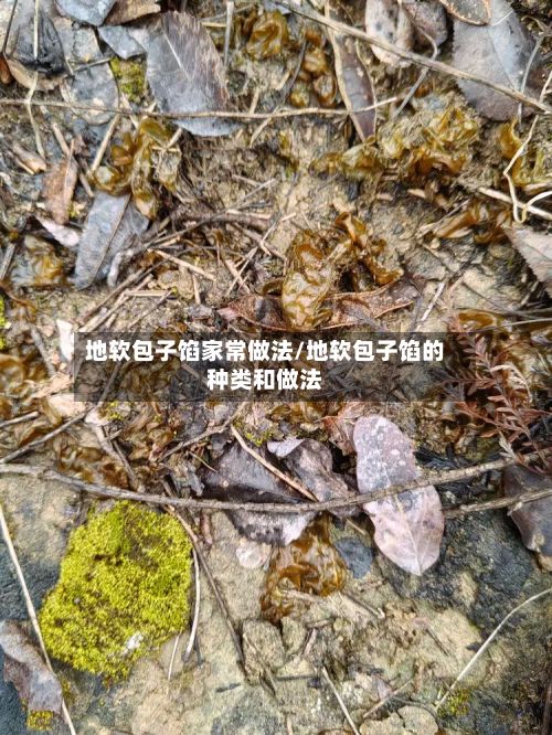地软包子馅家常做法/地软包子馅的种类和做法
