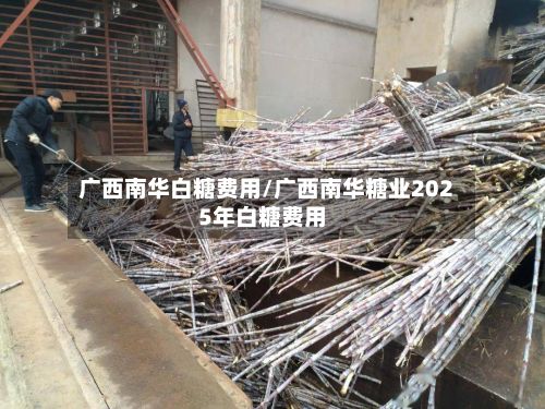 广西南华白糖费用/广西南华糖业2025年白糖费用