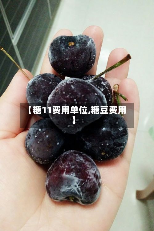 【糖11费用单位,糖豆费用】-第3张图片