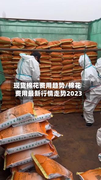 现货棉花费用趋势/棉花费用最新行情走势2023-第2张图片