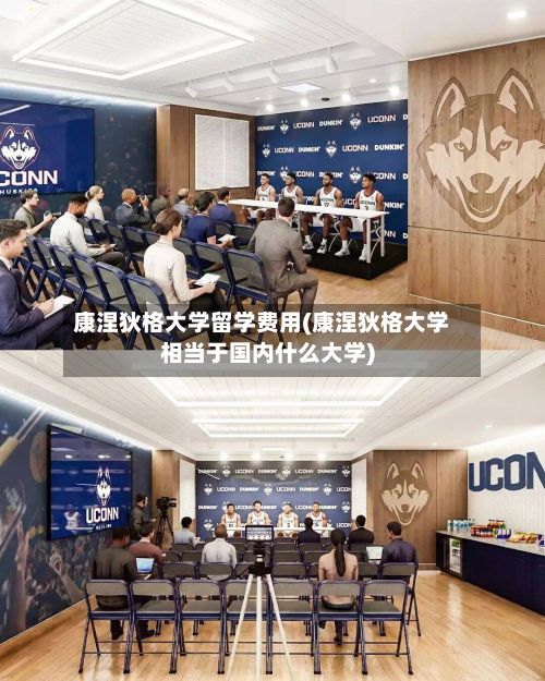康涅狄格大学留学费用(康涅狄格大学相当于国内什么大学)-第2张图片