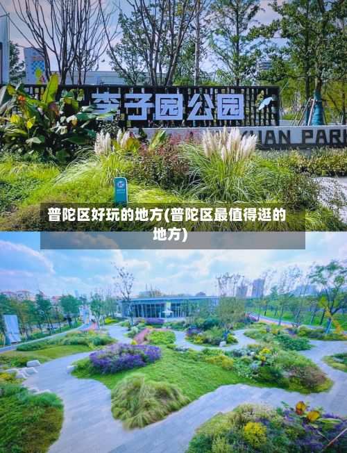 普陀区好玩的地方(普陀区最值得逛的地方)