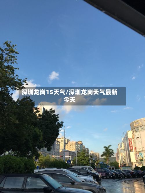 深圳龙岗15天气/深圳龙岗天气最新今天