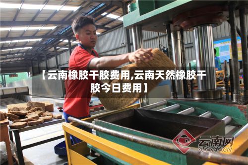 【云南橡胶干胶费用,云南天然橡胶干胶今日费用】-第2张图片